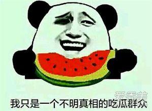 坐等吃瓜群众是什么意思,揭秘网络围观现象背后的心理动机